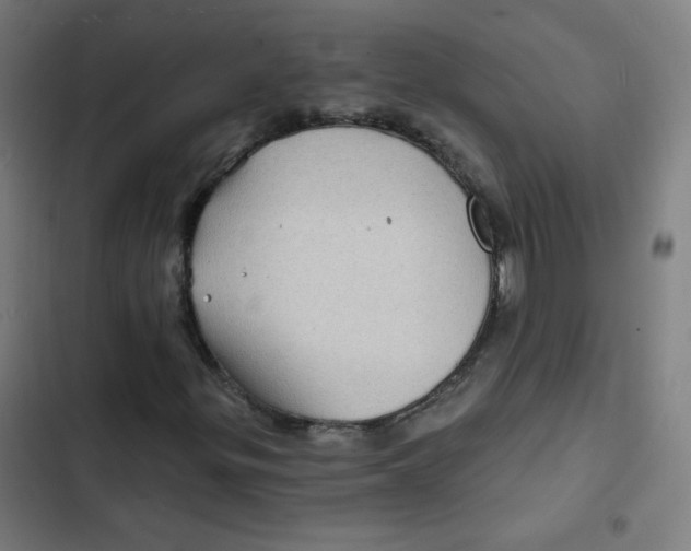 X0000102491299200809051312