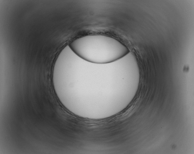 X0000102491300200809051312