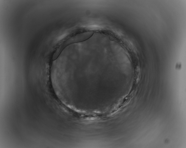 X0000102491301200809051312