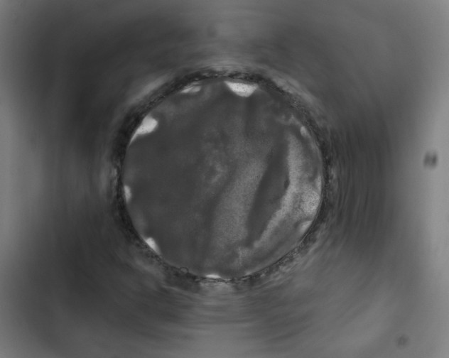 X0000102491302200809051312