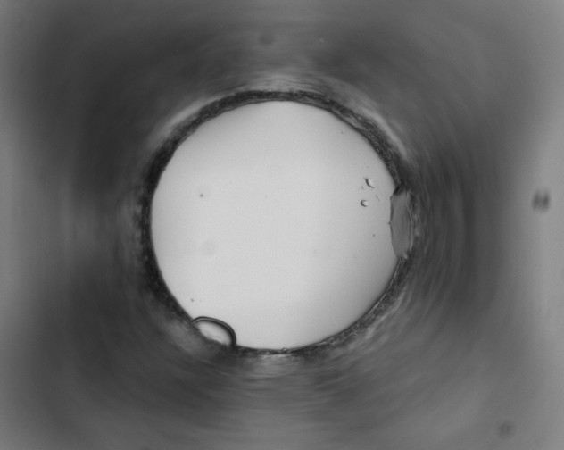 X0000102491304200809051312