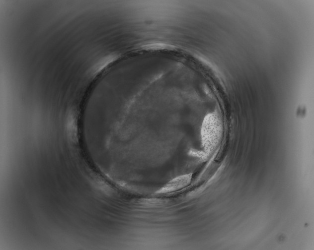 X0000102491305200809051312