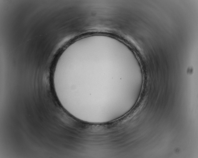 X0000102491307200809051312