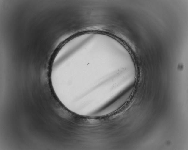 X0000102491308200809051312