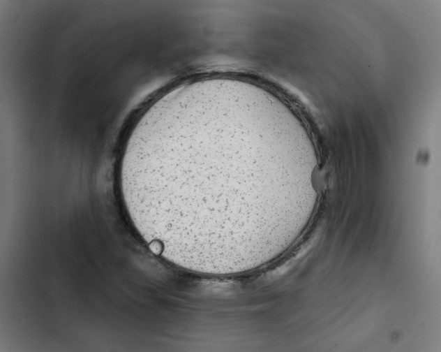 X0000102491309200809051313