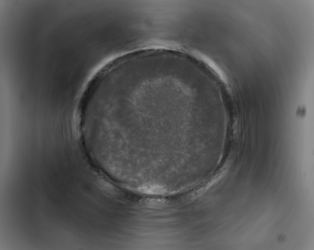 X0000102491310200809051313