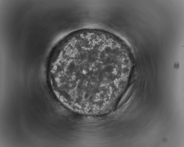 X0000102491311200809051313