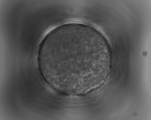 X0000102491312200809051313