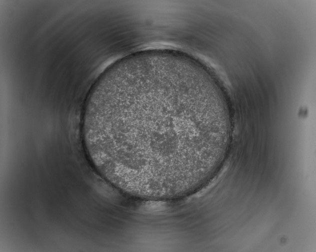 X0000102491313200809051313