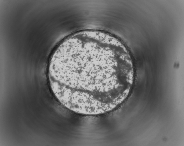 X0000102491314200809051313