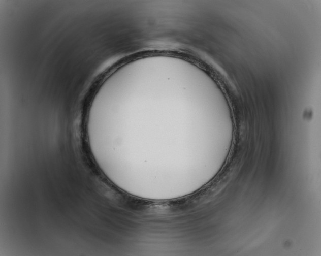 X0000102491315200809051313