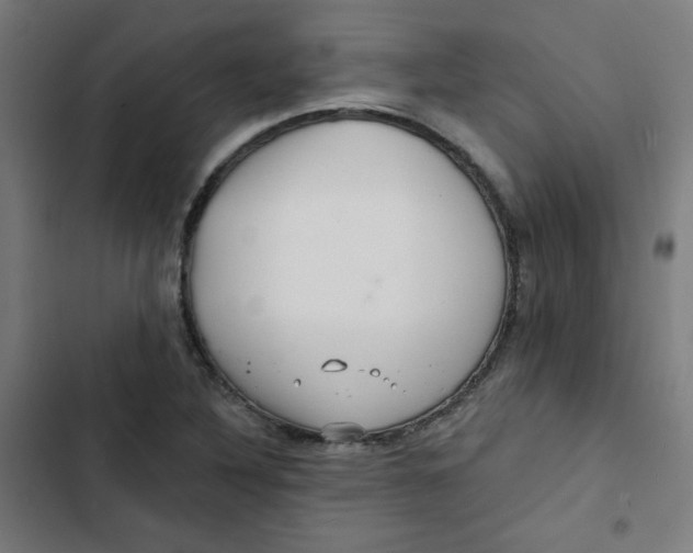 X0000102491316200809051313