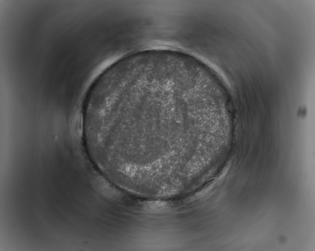 X0000102491317200809051313