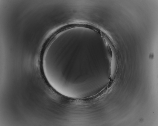 X0000102491319200809051313