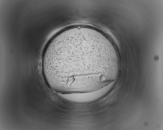 X0000102491320200809051313