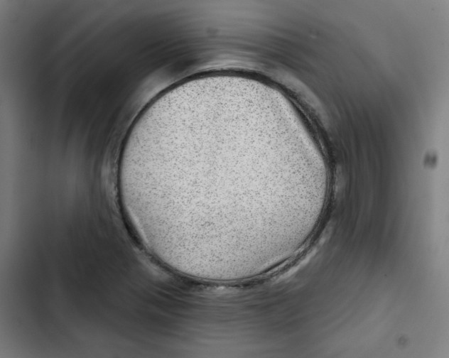 X0000102491321200809051313