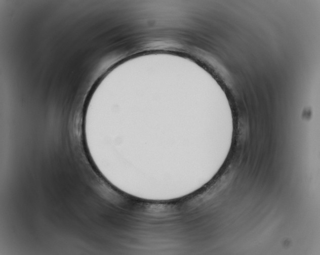 X0000102491322200809051313