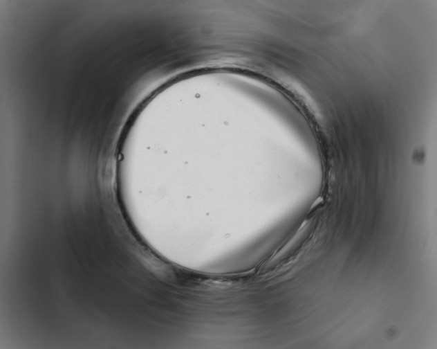 X0000102491324200809051313