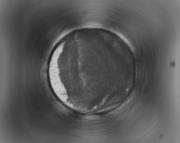 X0000102491325200809051313