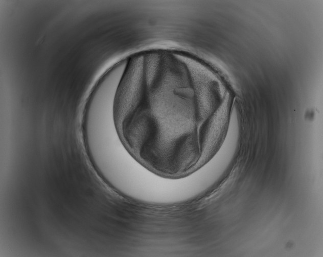 X0000102491326200809051313