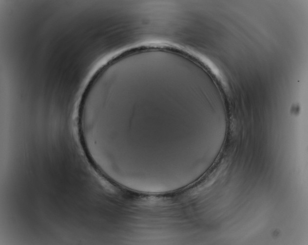 X0000102491327200809051313