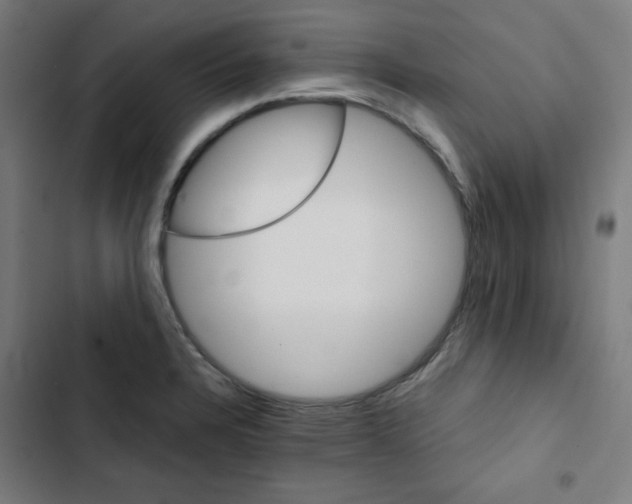 X0000102491328200809051313