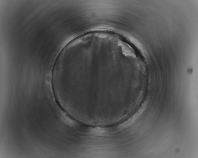 X0000102491329200809051313