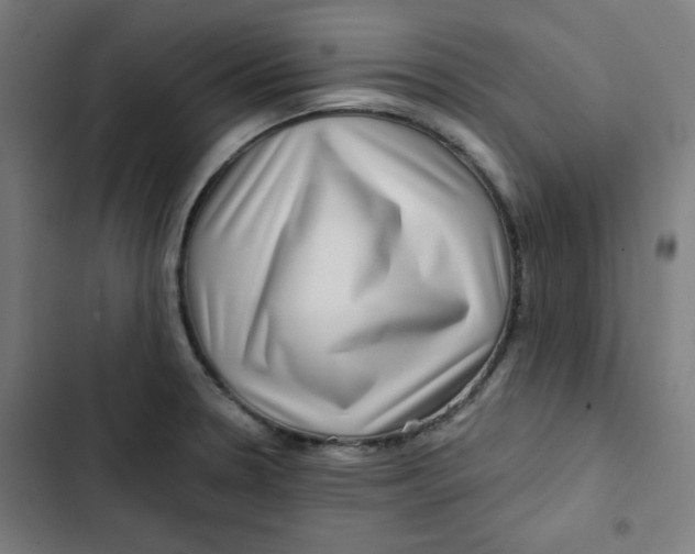 X0000102491330200809051313