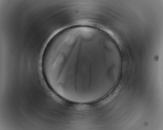 X0000102491331200809051313