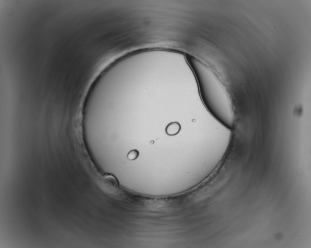 X0000102491332200809051313