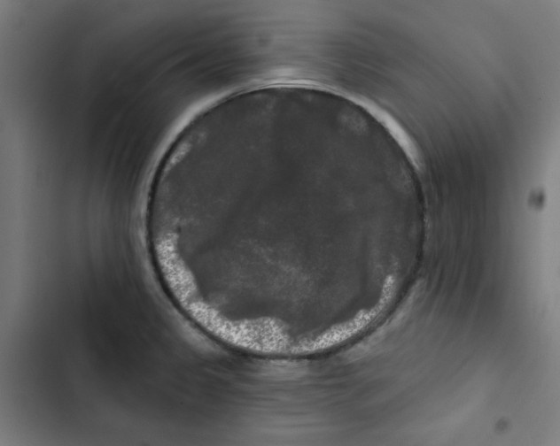 X0000102491333200809051313