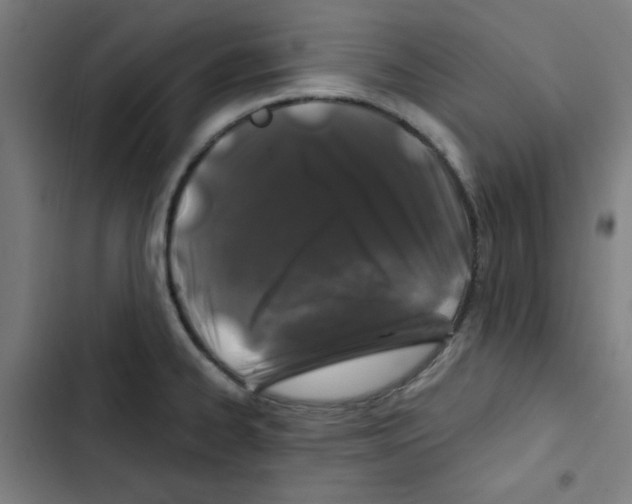 X0000102491334200809051313