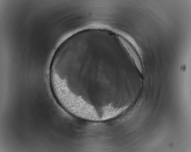 X0000102491335200809051313