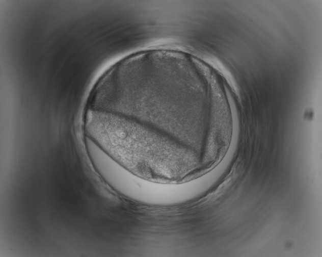 X0000102491336200809051313