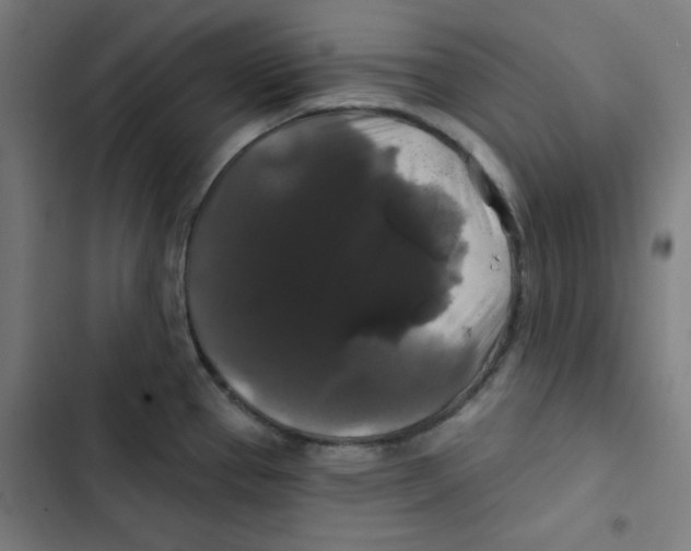 X0000102491337200809051313