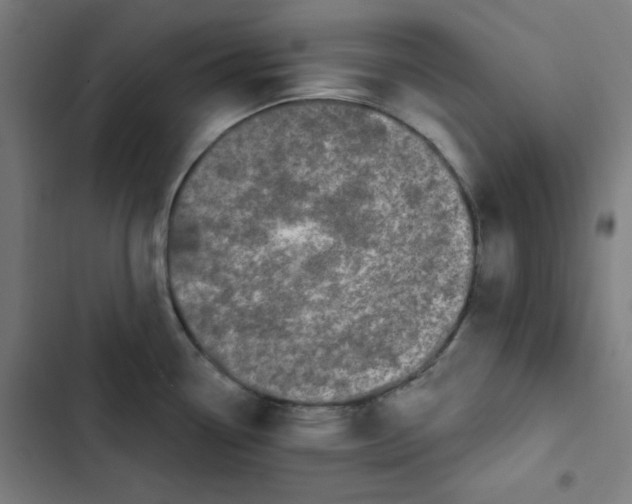 X0000102491338200809051313