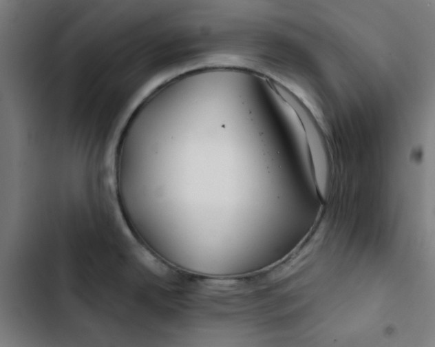 X0000102491342200809051313