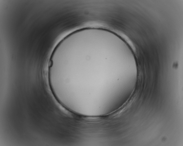 X0000102491343200809051313