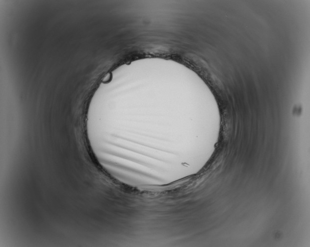 X0000102491345200809051312