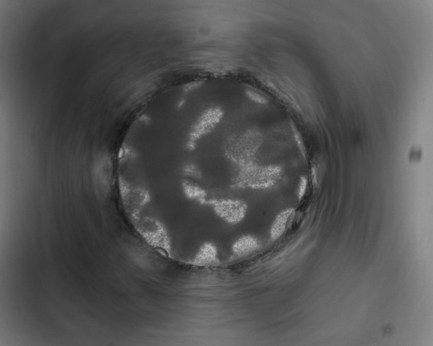 X0000102491347200809051312