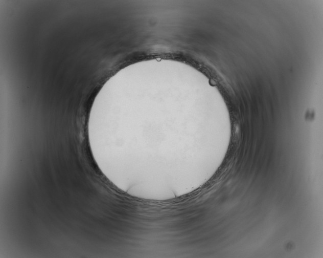 X0000102491348200809051312