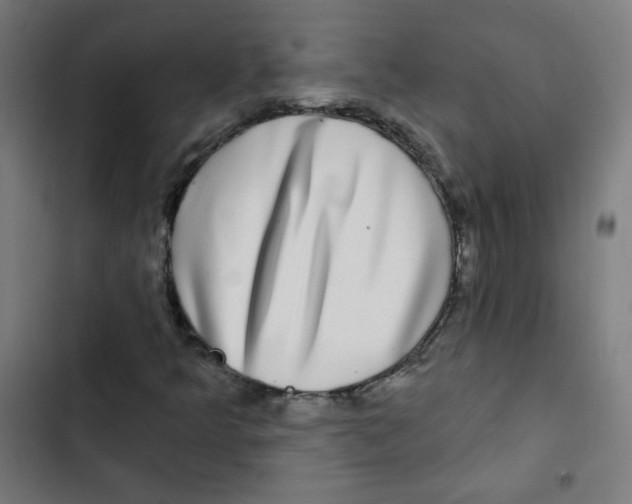 X0000102491349200809051312