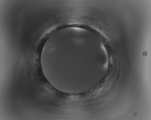 X0000102491351200809051312