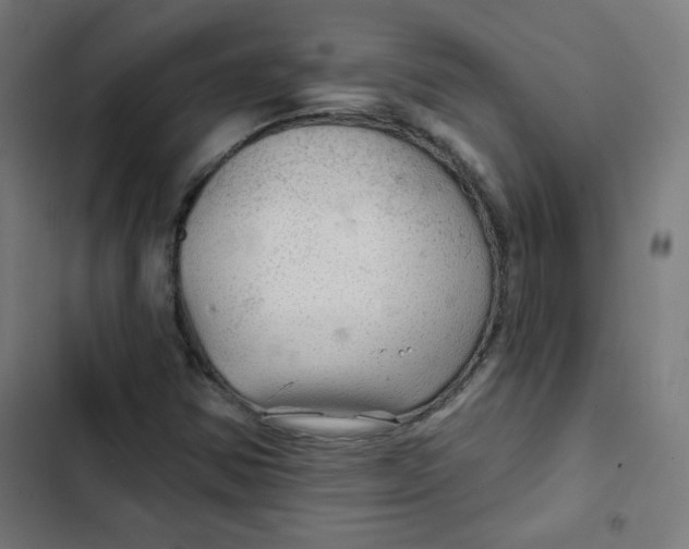 X0000102491354200809051312