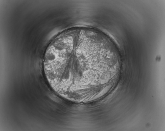 X0000102491355200809051312
