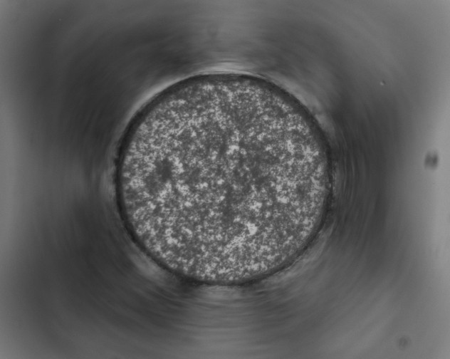 X0000102491356200809051312