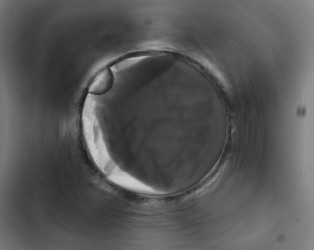 X0000102491358200809051312