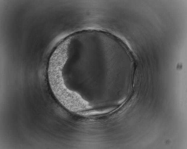 X0000102491359200809051312