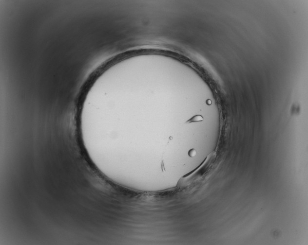 X0000102491360200809051312