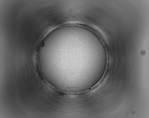 X0000102491361200809051312